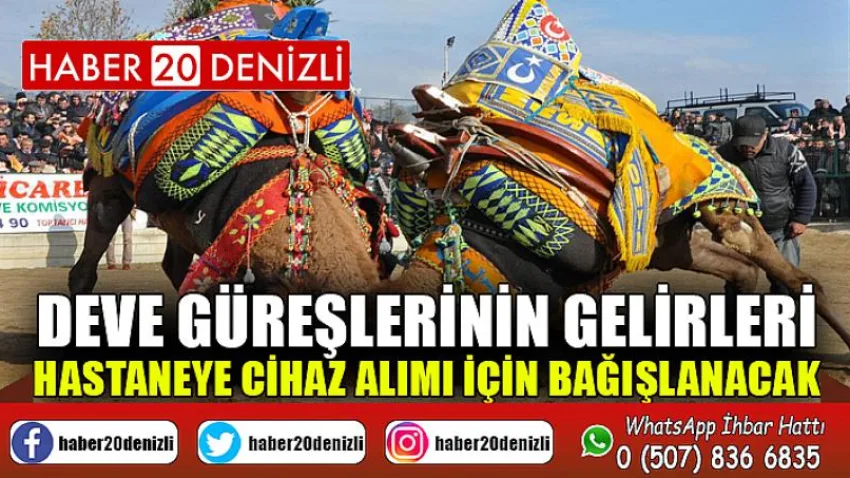 Deve güreşlerinin gelirleri hastaneye cihaz alımı için bağışlanacak