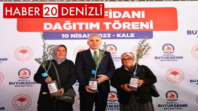 Büyükşehir’den zeytin seferberliği