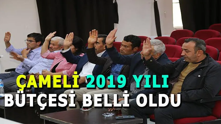 Çameli 2019 Yılı Bütçesi Belli Oldu