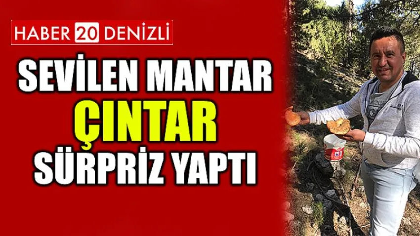 Sevilen Mantar Çıntar Sürpriz Yaptı