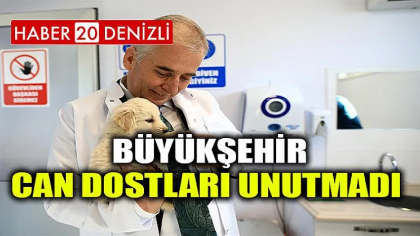 Büyükşehir can dostları unutmadı