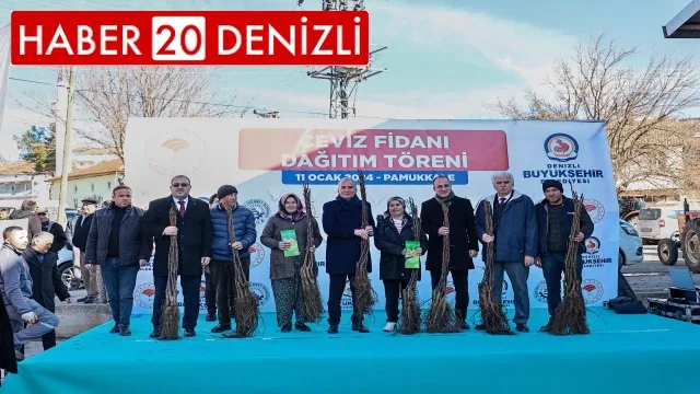 Cevizin merkezi Denizli olacak