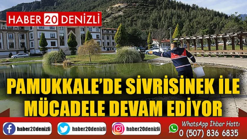 Pamukkale’de Sivrisinek ile Mücadele Devam Ediyor