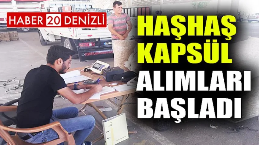 Haşhaş Kapsül Alımları Başladı