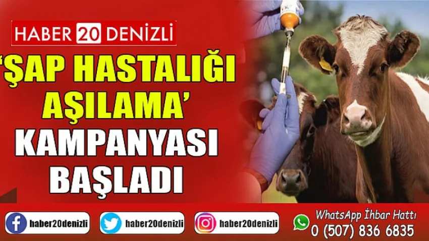 Denizli'de ‘Şap Hastalığı Aşılama’ kampanyası başladı
