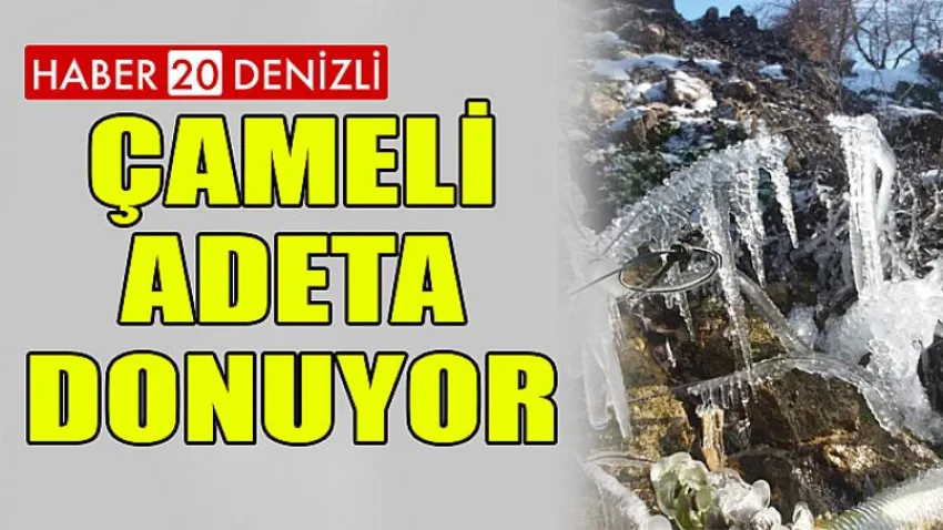 Çameli Adeta Donuyor