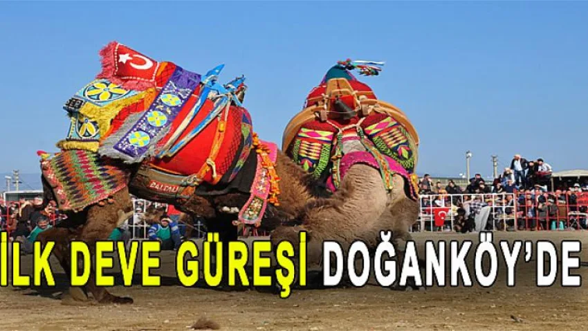 İlk Deve Güreşi Doğanköy'de