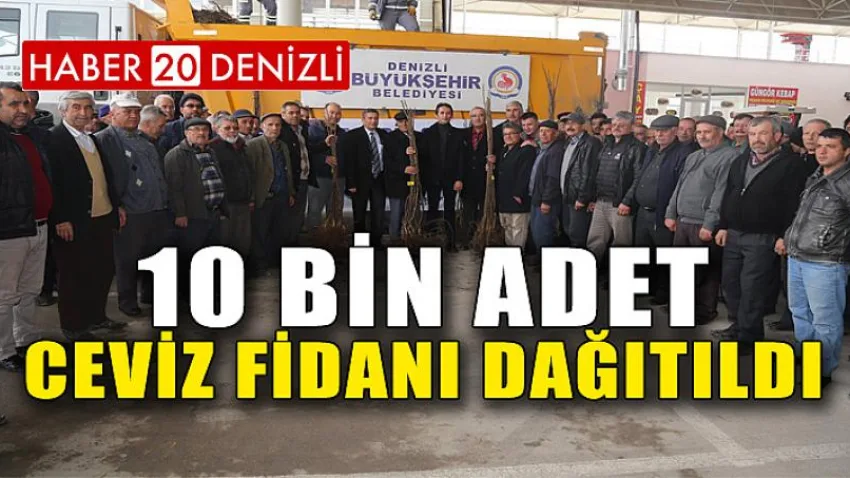 10 Bin Adet Ceviz Fidanı Dağıtıldı