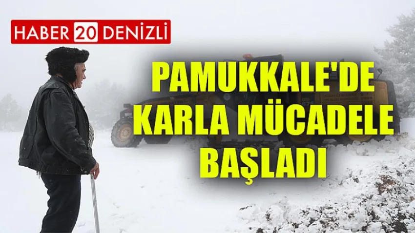 Pamukkale'de Karla Mücadele Başladı