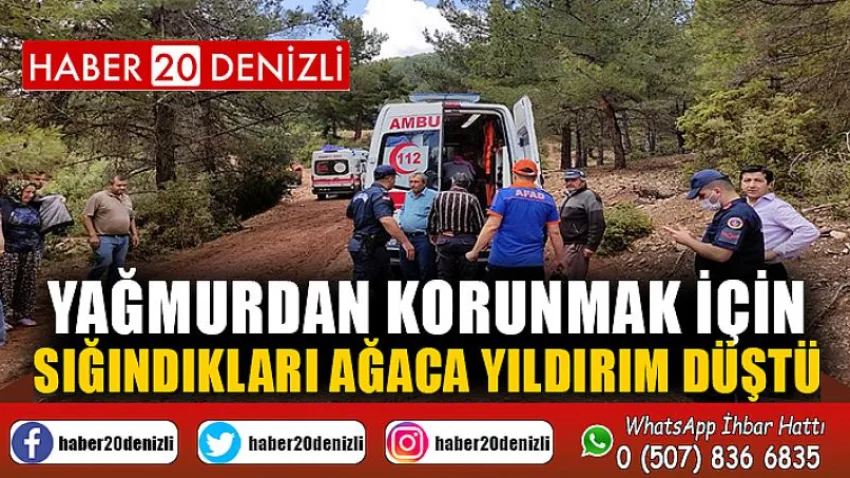 Yağmurdan korunmak için sığındıkları ağaca yıldırım düştü