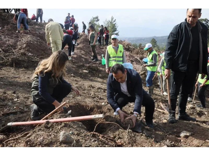 Kele Belediye Başkanı Mehmet Salih Sağınç'ın 11 Kasım MilliAğaçlandırma Günü Mesajı