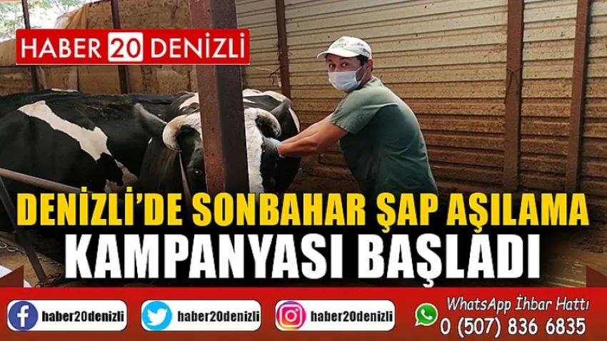 Denizli’de sonbahar şap aşılama kampanyası başladı