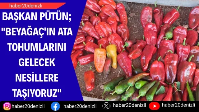 Başkan Pütün; "Beyağaç'ın ata tohumlarını gelecek nesillere taşıyoruz