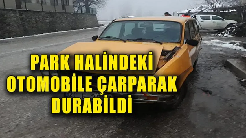 Park Halindeki Otomobile Çarparak Durabildi