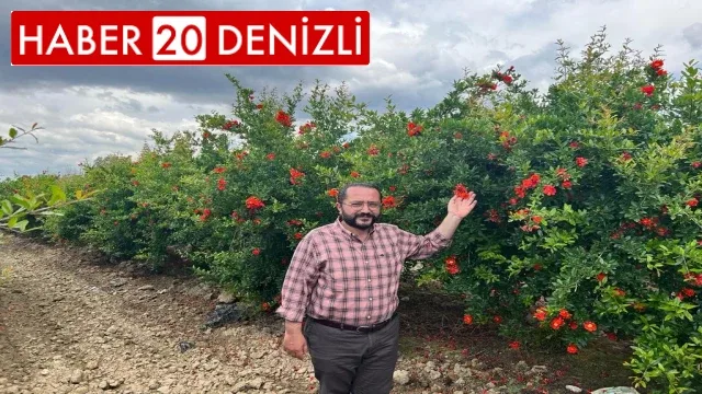 MHP İl Başkanı Yılmaz; "İklim değişikliğiyle mücadele hepimizin ana gündemi olmuştur"