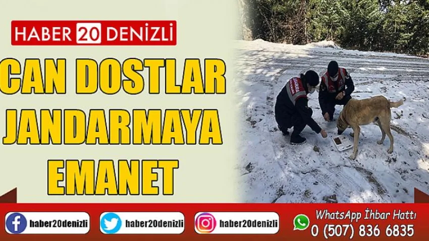 Can Dostlar Jandarmaya Emanet