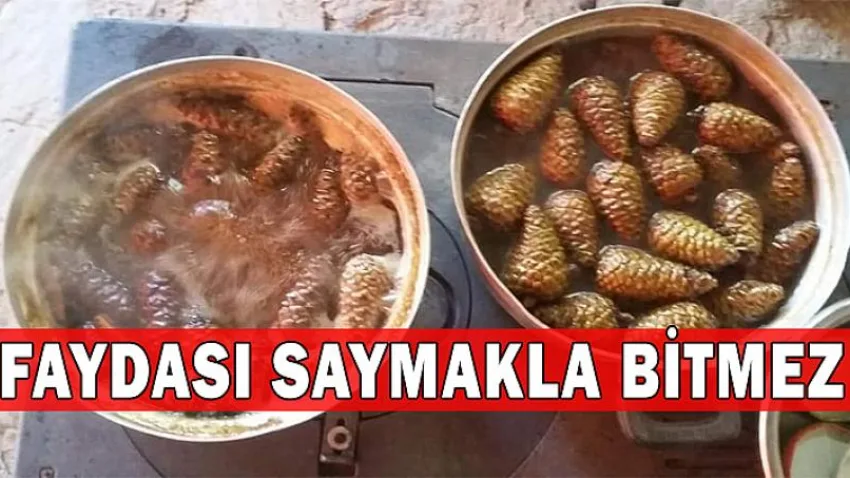 Faydası Saymakla Bitmez
