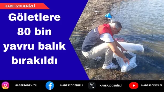 Göletlere 80 bin yavru balık bırakıldı
