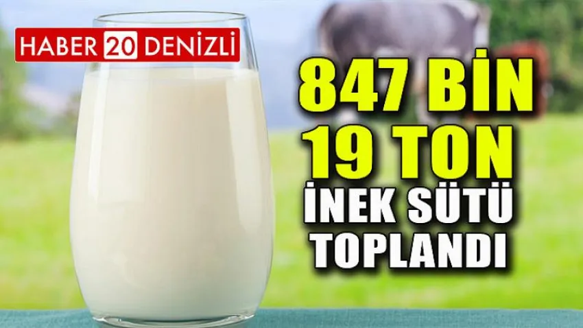 847 bin 19 ton inek sütü toplandı