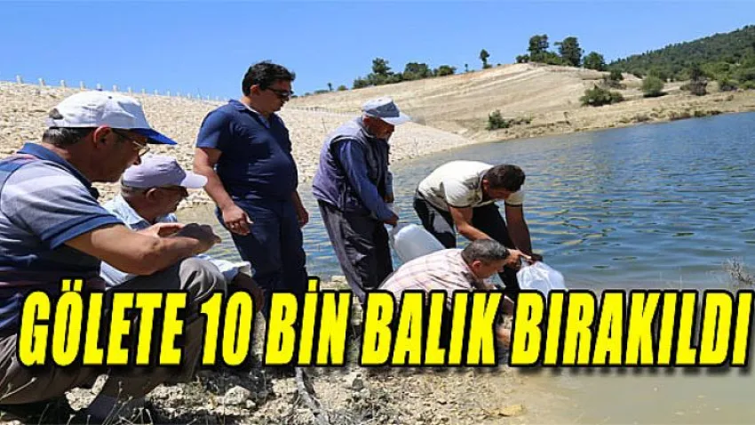 Gölete 10 Bin Balık Bırakıldı