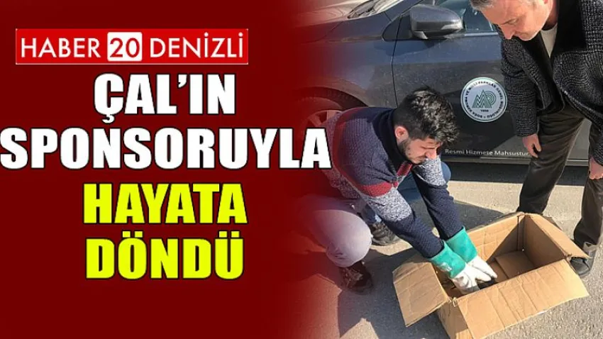 Çal’ın Sponsoruyla Hayata Döndü