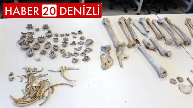 Beyağaç’ta Türkiye tek örnek olan fil dişi fosili bulundu