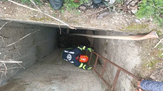 Kuyuya düşen koyun itfaiye ekipleri tarafından kurtarıldı