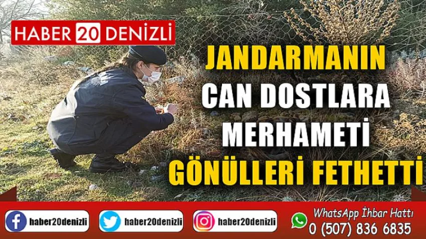 Jandarmanın can dostlara merhameti gönülleri fethetti