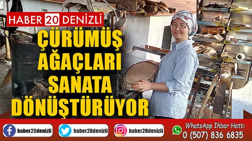 Çürümüş ağaçları sanata dönüştürüyor