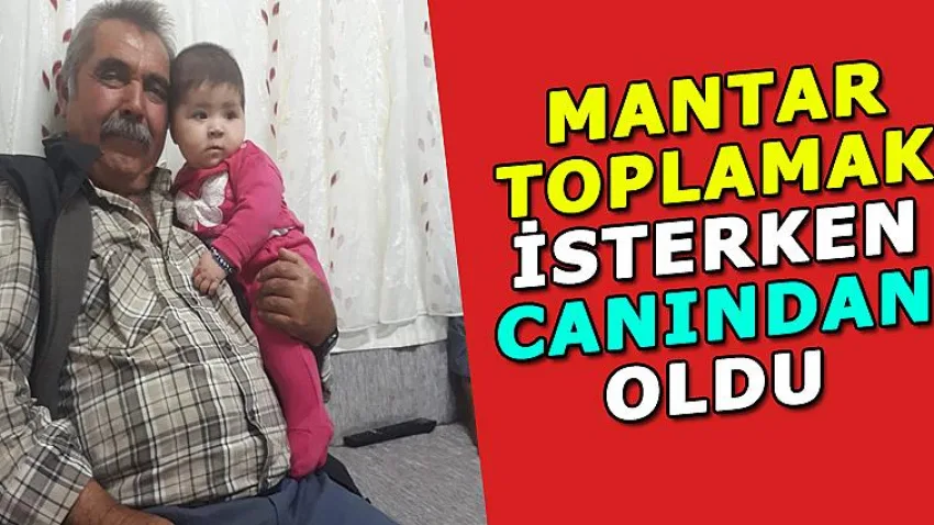 Mantar Toplamak İsterken Canından Oldu