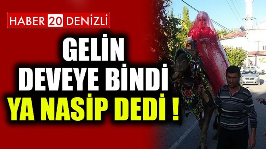 Gelin Deveye Bindi Ya Nasip Dedi!