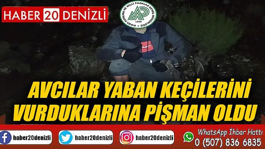 Avcılar yaban keçilerini vurduklarına pişman oldu