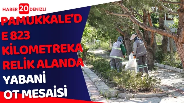 Pamukkale’de 823 Kilometrekarelik Alanda Yabani Ot Mesaisi