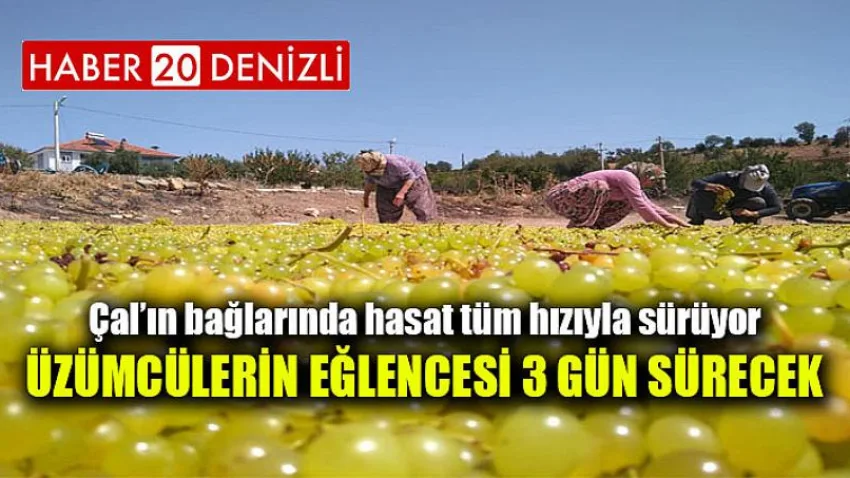 Üzümcülerin Eğlencesi 3 Gün Sürecek