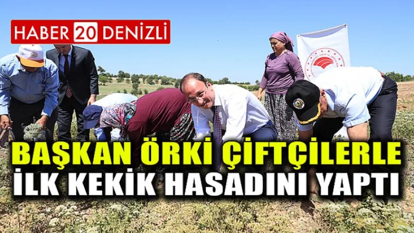 Başkan Örki Çiftçilerle İlk Kekik Hasadını Yaptı