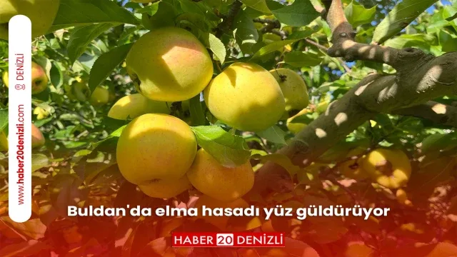 Buldan'da elma hasadı yüz güldürüyor
