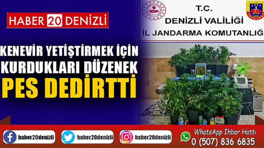 Kenevir yetiştirmek için kurdukları düzenek pes dedirtti