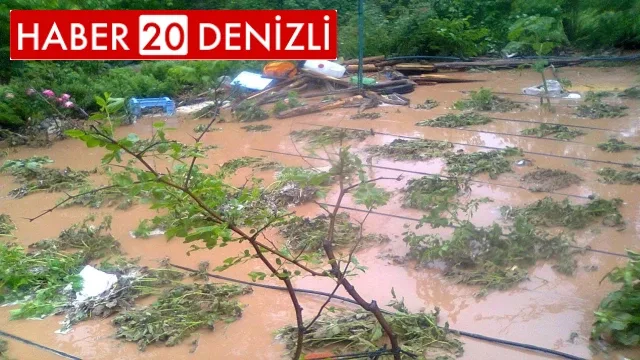 Sel Çameli’nin iki mahallesini vurdu