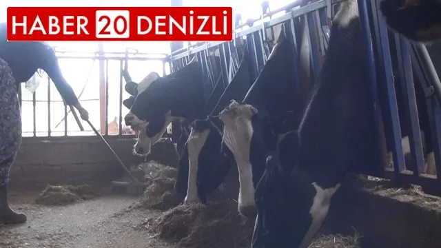 Kadın yetiştirici aldığı tarım destekleriyle aile işletmesini büyüttü