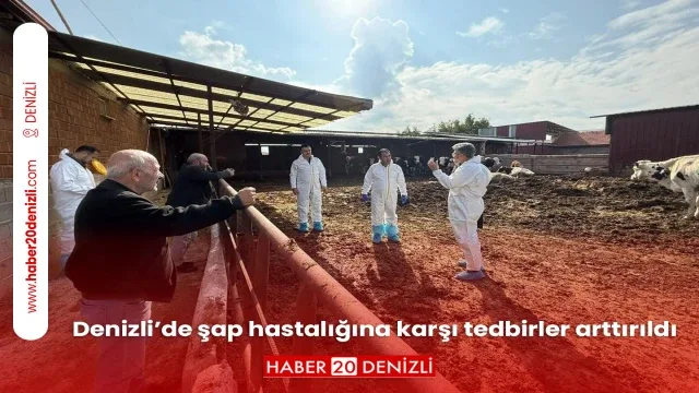 Denizli’de şap hastalığına karşı tedbirler arttırıldı