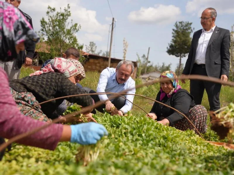 Milletvekili Tin, Beyağaç’ta hemşehrileriyle kucaklaştı