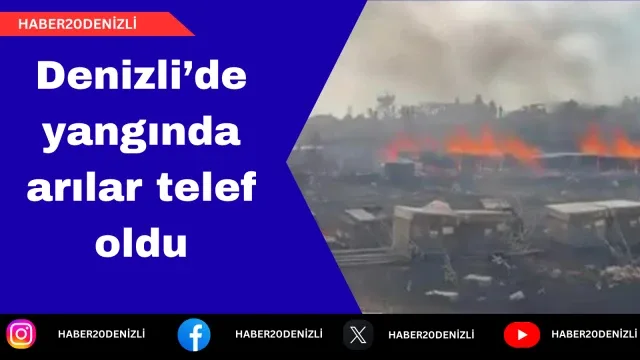Denizli’de yangında arılar telef oldu