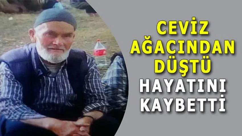 Ceviz Ağacından Düştü Hayatını Kaybetti