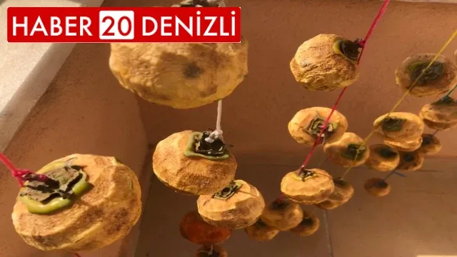 Cennet hurmaları kışa hazırlanıyor