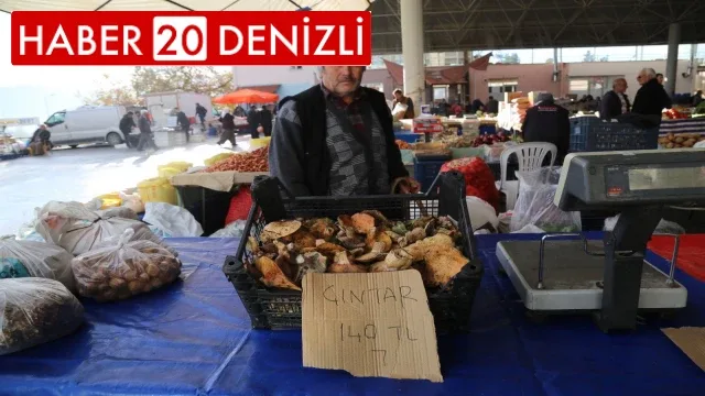 Dağdan toplanan çıntar, tezgahlara indi