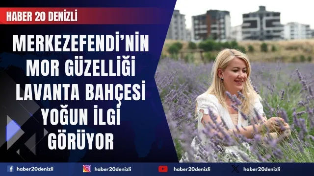 Merkezefendi’nin Mor Güzelliği Lavanta Bahçesi Yoğun İlgi Görüyor