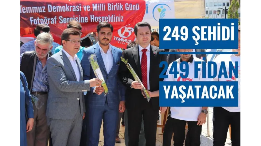 249 Şehit 249 Fidan