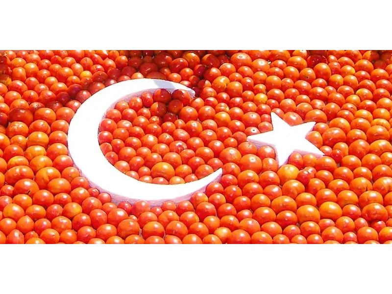 Çameli’nde 'En iyi domates' yarışması düzenlenecek