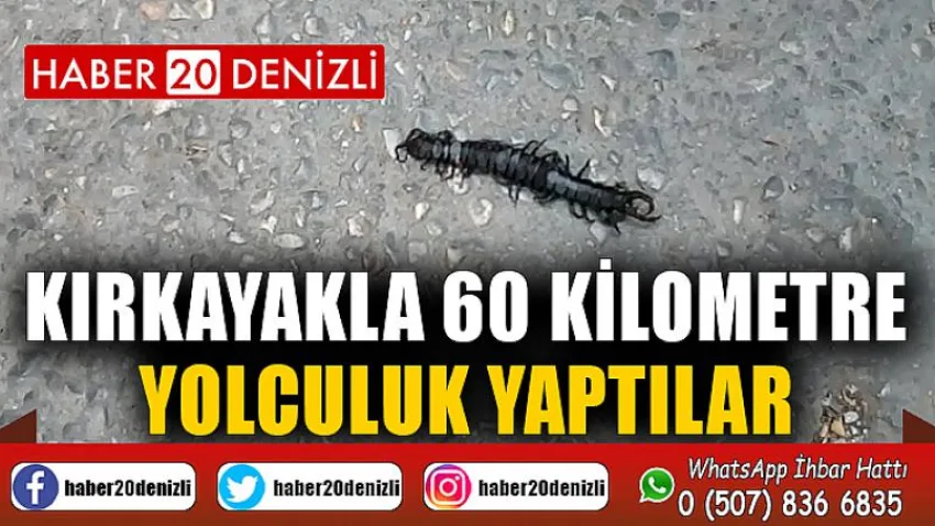 Kırkayakla 60 kilometre yolculuk yaptılar