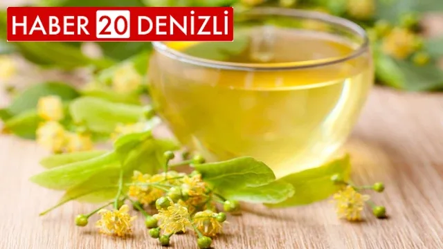 Şifa Kaynağı Ihlamurun 5 Önemli Faydası